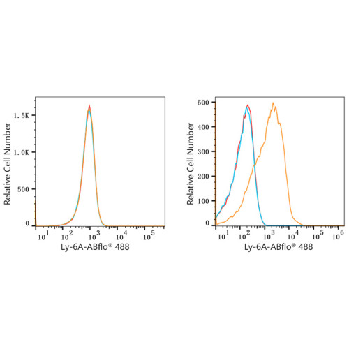 ABflo® 488 Rabbit anti-Mouse Ly-6A/E (Sca-1) mAb
