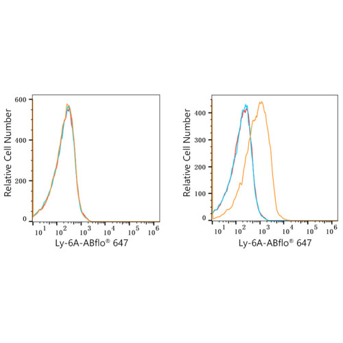 ABflo® 647 Rabbit anti-Mouse Ly-6A/E (Sca-1) mAb