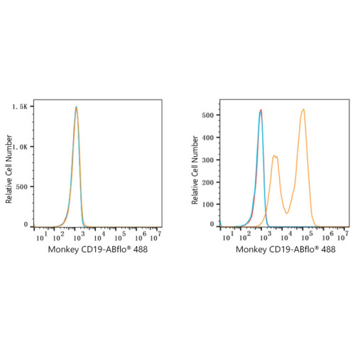 ABflo® 488 Rabbit anti-Human/Monkey CD19 mAb