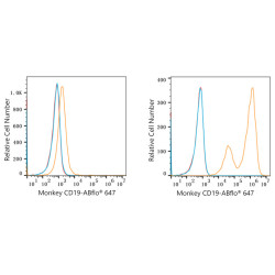 ABflo® 647 Rabbit anti-Human/Monkey CD19 mAb
