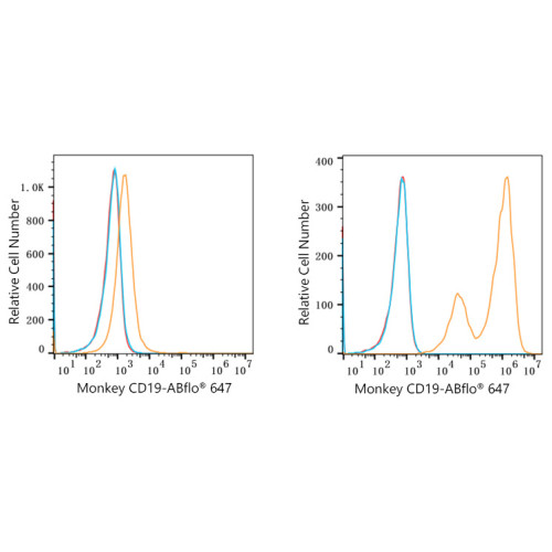 ABflo® 647 Rabbit anti-Human/Monkey CD19 mAb