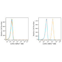 ABflo® 488 Rabbit anti-Human CD93 mAb