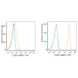 ABflo® 647 Rabbit anti-Human CD93 mAb