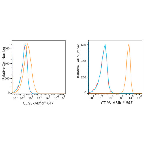 ABflo® 647 Rabbit anti-Human CD93 mAb