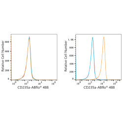 ABflo® 488 Rabbit anti-Human CD235a/Glycophorin A mAb