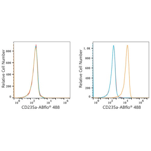 ABflo® 488 Rabbit anti-Human CD235a/Glycophorin A mAb