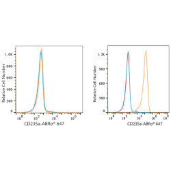 ABflo® 647 Rabbit anti-Human CD235a/Glycophorin A mAb