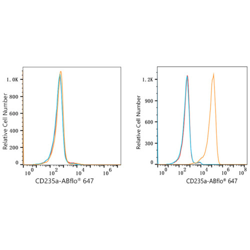 ABflo® 647 Rabbit anti-Human CD235a/Glycophorin A mAb