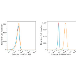 ABflo® 488 Rabbit anti-Human Galectin 3 mAb