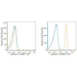 ABflo® 647 Rabbit anti-Human Galectin 3 mAb