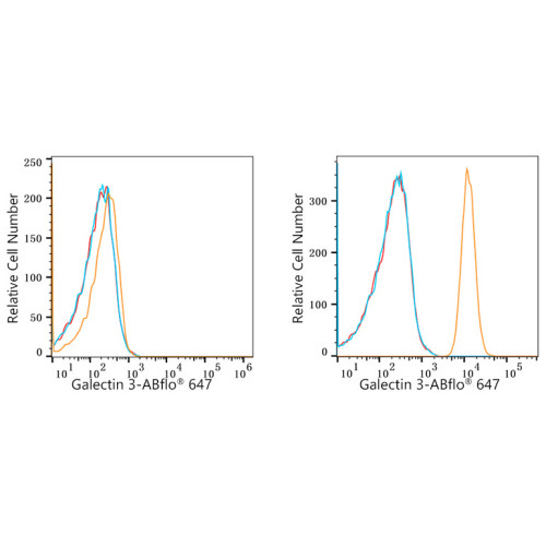 ABflo® 647 Rabbit anti-Human Galectin 3 mAb