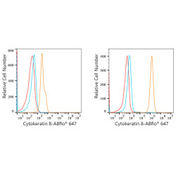 ABflo® 647 Rabbit anti-Human Cytokeratin 8/KRT8 mAb