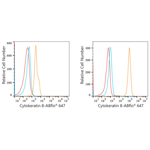 ABflo® 647 Rabbit anti-Human Cytokeratin 8/KRT8 mAb