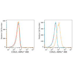 ABflo® 488 Rabbit anti-Human CD62L/L-Selectin mAb
