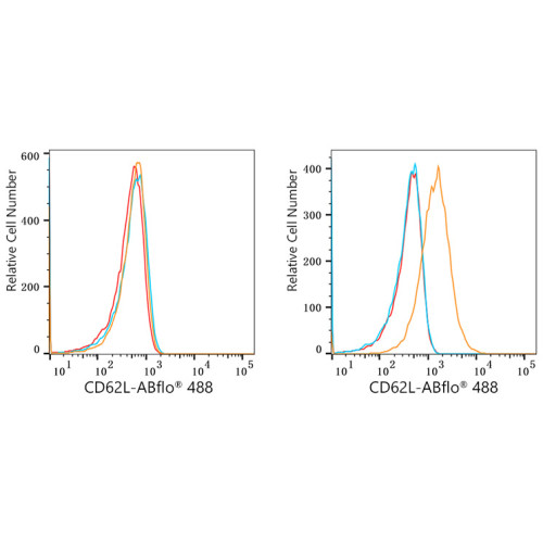 ABflo® 488 Rabbit anti-Human CD62L/L-Selectin mAb