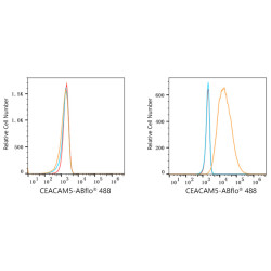 ABflo® 488 Rabbit anti-Human CD66e/CEACAM5 mAb