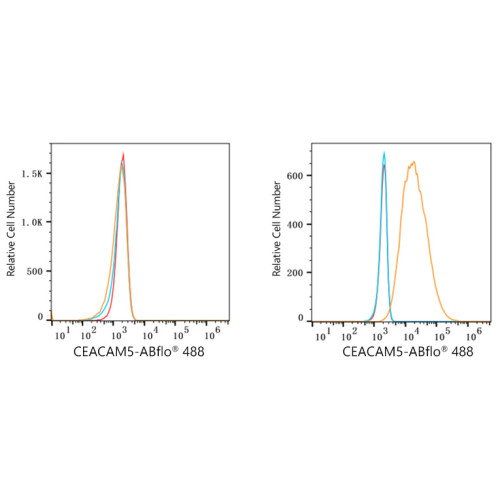 ABflo® 488 Rabbit anti-Human CD66e/CEACAM5 mAb