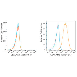 ABflo® 647 Rabbit anti-Human CD66e/CEACAM5 mAb
