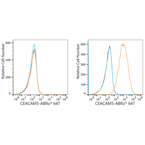 ABflo® 647 Rabbit anti-Human CD66e/CEACAM5 mAb