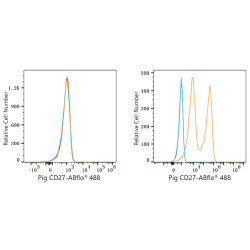 ABflo® 488 Rabbit anti-Pig CD27 mAb