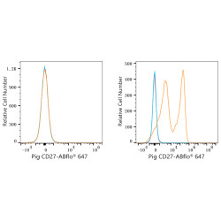 ABflo® 647 Rabbit anti-Pig CD27 mAb