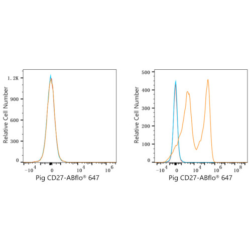 ABflo® 647 Rabbit anti-Pig CD27 mAb