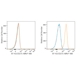 ABflo® 488 Rabbit anti-Human CD275/B7-H2/ICOSL mAb