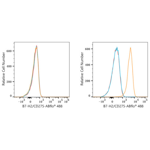 ABflo® 488 Rabbit anti-Human CD275/B7-H2/ICOSL mAb