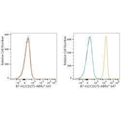 ABflo® 647 Rabbit anti-Human CD275/B7-H2/ICOSL mAb