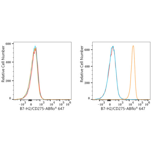 ABflo® 647 Rabbit anti-Human CD275/B7-H2/ICOSL mAb