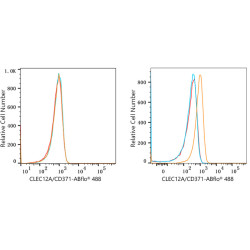 ABflo® 488 Rabbit anti-Human CD371/CLEC12A mAb