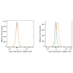 ABflo® 647 Rabbit anti-Human CD371/CLEC12A mAb
