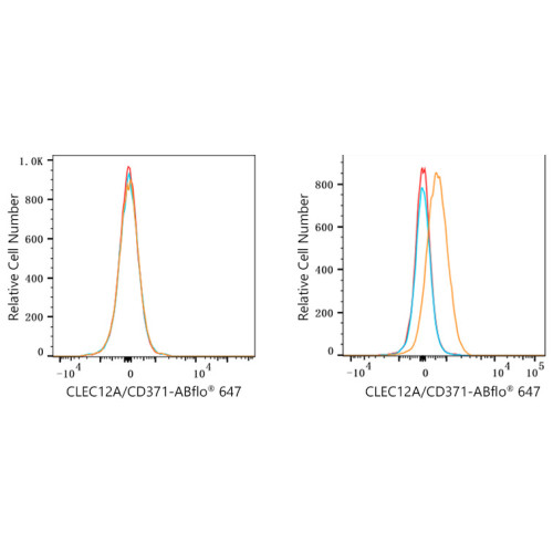 ABflo® 647 Rabbit anti-Human CD371/CLEC12A mAb