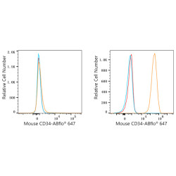 ABflo® 647 Rabbit anti-Mouse CD34 mAb