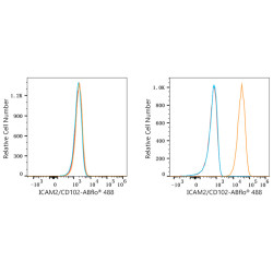 ABflo® 488 Rabbit anti-Human CD102/ICAM-2 mAb