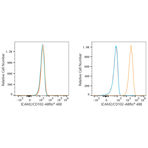 ABflo® 488 Rabbit anti-Human CD102/ICAM-2 mAb