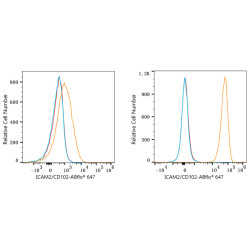 ABflo® 647 Rabbit anti-Human CD102/ICAM-2 mAb