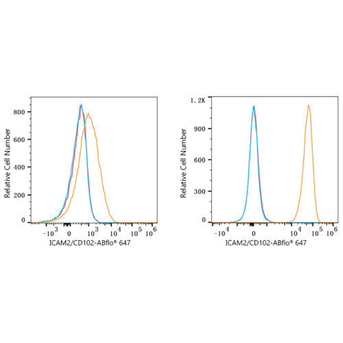 ABflo® 647 Rabbit anti-Human CD102/ICAM-2 mAb