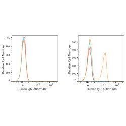 ABflo® 488 Rabbit anti-Human/Monkey IgD mAb