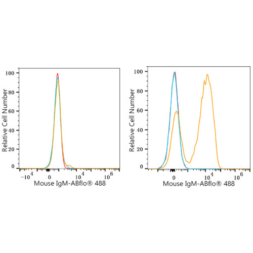 ABflo® 488 Rabbit anti-Mouse IgM mAb