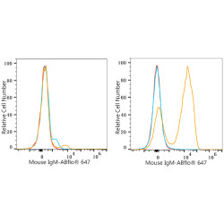 ABflo® 647 Rabbit anti-Mouse IgM mAb