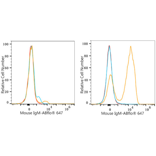 ABflo® 647 Rabbit anti-Mouse IgM mAb