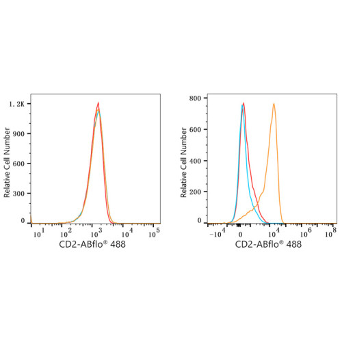 ABflo® 488 Rabbit anti-Human CD2 mAb