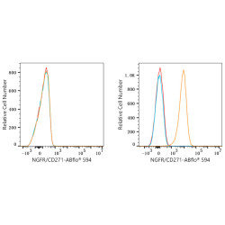 ABflo® 594 Rabbit anti-Human CD271/NGFR mAb