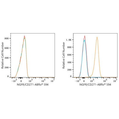 ABflo® 594 Rabbit anti-Human CD271/NGFR mAb