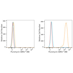 ABflo® 488 Rabbit anti-puromycin mAb