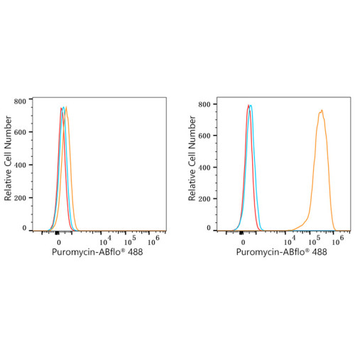 ABflo® 488 Rabbit anti-puromycin mAb