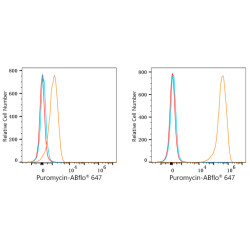 ABflo® 647 Rabbit anti-puromycin mAb