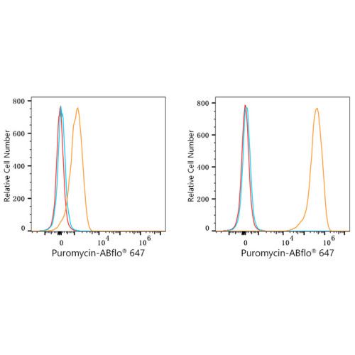 ABflo® 647 Rabbit anti-puromycin mAb