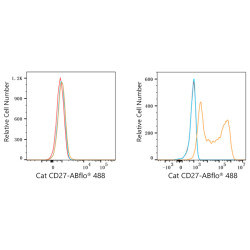 ABflo® 488 Rabbit anti-Cat CD27 mAb